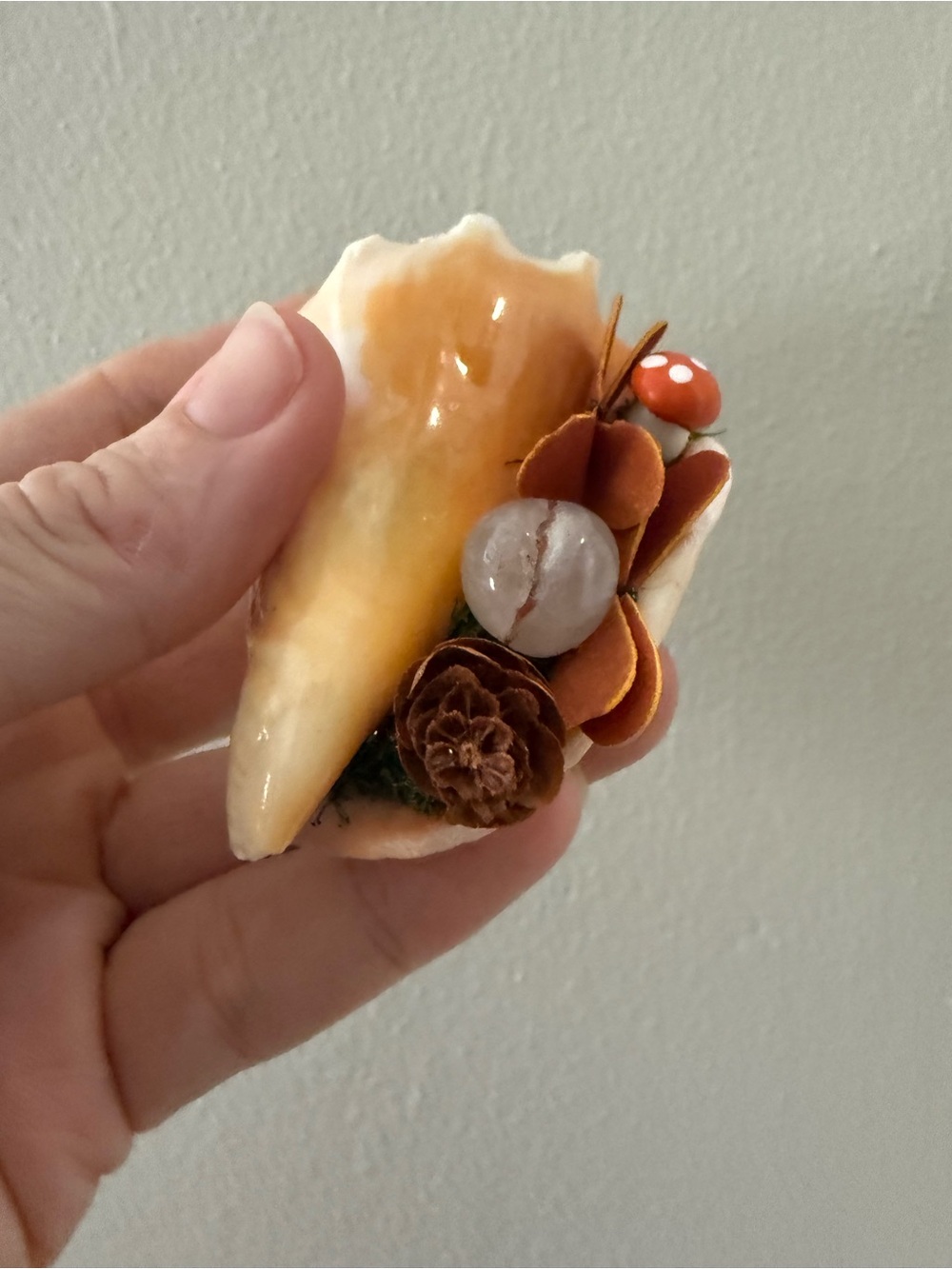 Handmade Cream and Brown Fall Seashell